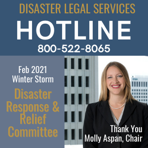 DISASTER HOTLINE 300