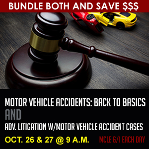 300x300 Adv Litigation MVA BUNDLE Copy